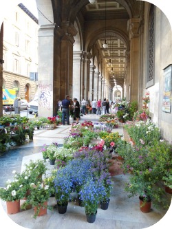 Florence Shopping - Outdoor Markets - Flower Market near p. Repubblica