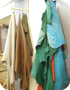 Florence Shopping - Florence Leather School - Pelts of colored leather Florence Shopping - Florence Leather School - Pelts of colored leather