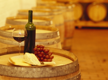 Wine tasting tours and visits to wineries are among the most popular ways to pass the time in Florence