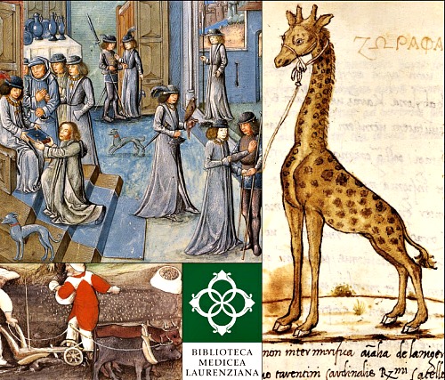 Animalia, an exhibit on historic documentation of animals in ancient manuscripts, is on at the Laurentian Library