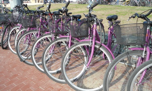 Rent a bike in Florence Italy, just outside the train station