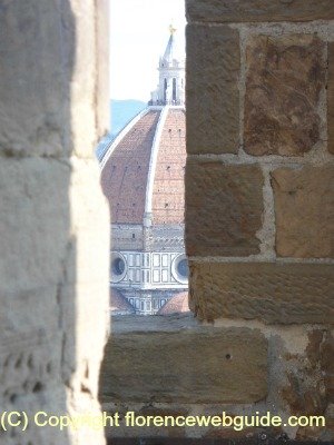 a glimpse of Duomo from the terrace of the tower