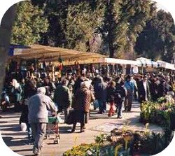 Florence Shopping - Outdoor Markets - Cascine market