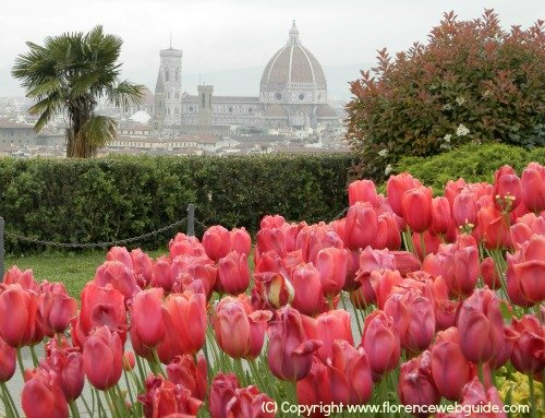 Duomo from Piazzale Michelangelo