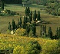 Things to do in Florence - the Tuscan countryside