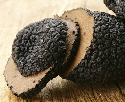 October welcomes the truffle festival in the outskirts of Florence